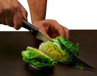 Durée de réalisation